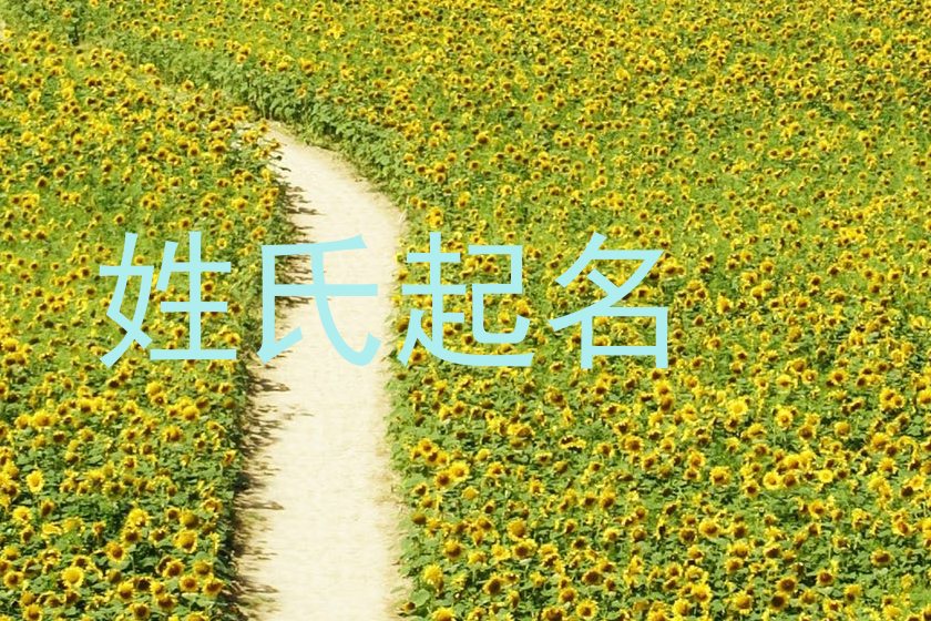 姓氏起名