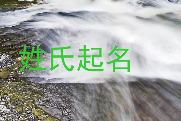 姓氏起名