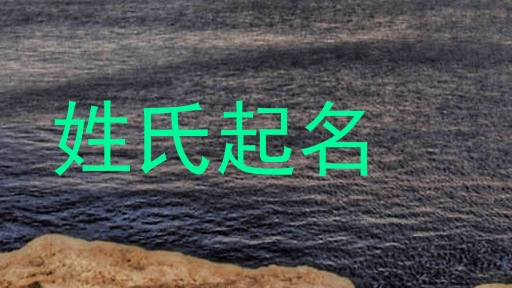 姓氏起名