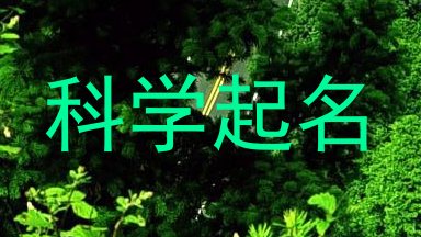 科学起名