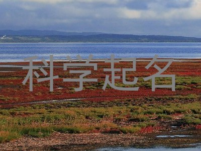 科学起名