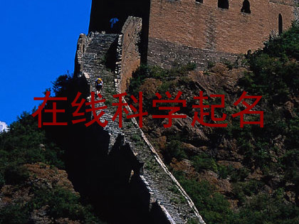 在线科学起名
