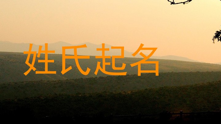 姓氏起名