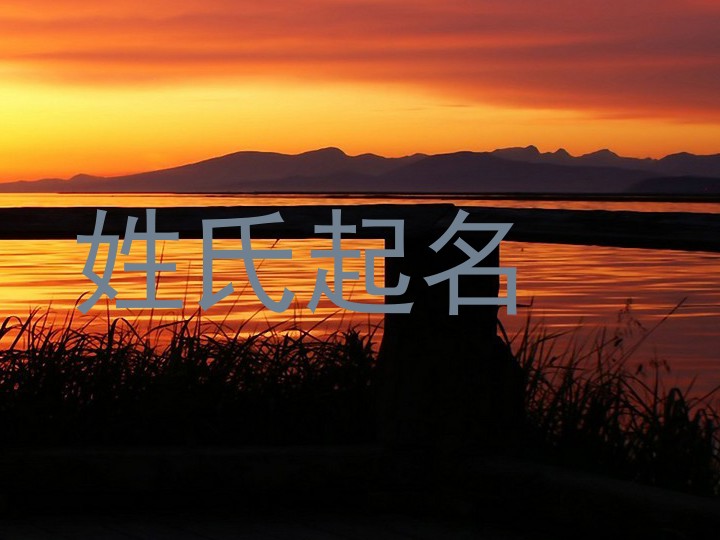 姓氏起名