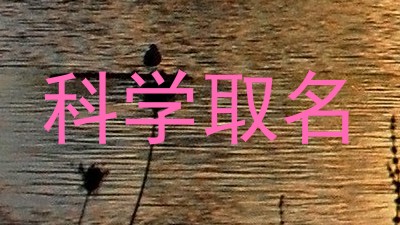 科学取名