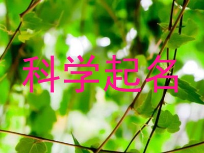 科学起名