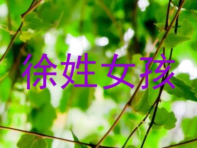 徐姓女孩