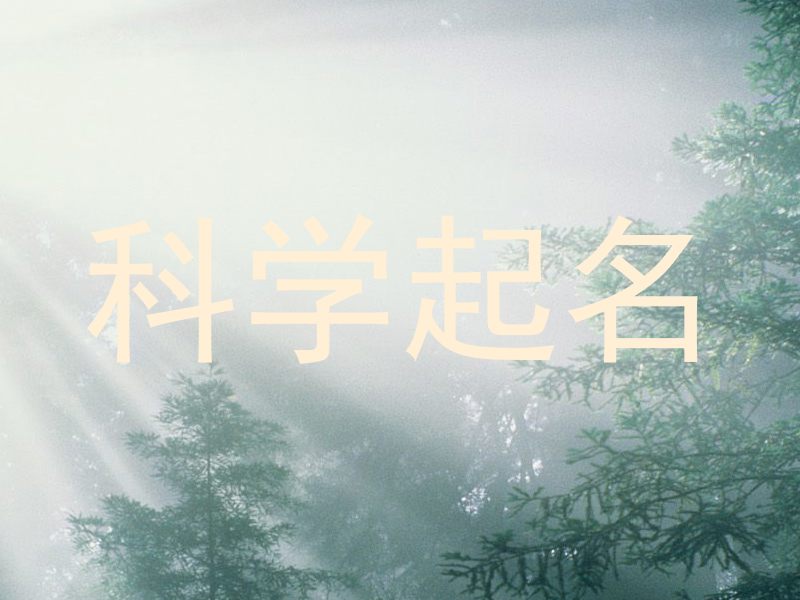科学起名