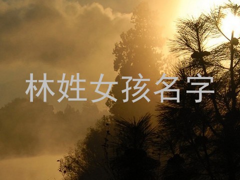 林姓女孩名字