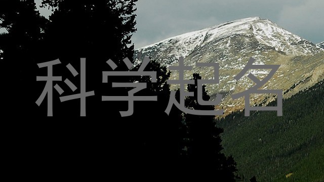 科学起名
