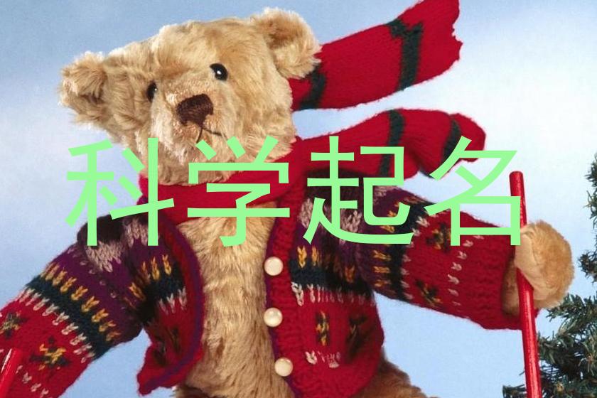 科学起名