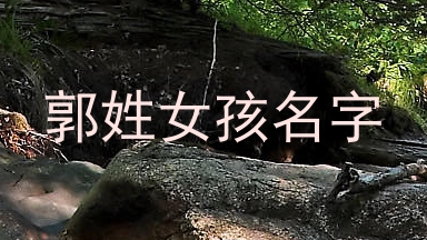 郭姓女孩名字