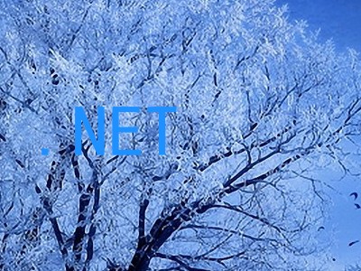 .NET