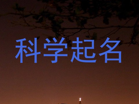 科学起名