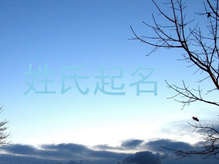 姓氏起名
