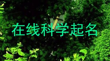 在线科学起名