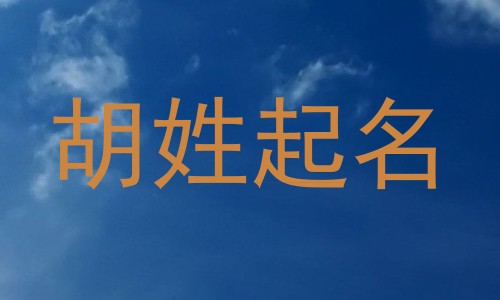 胡姓起名