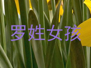 罗姓女孩