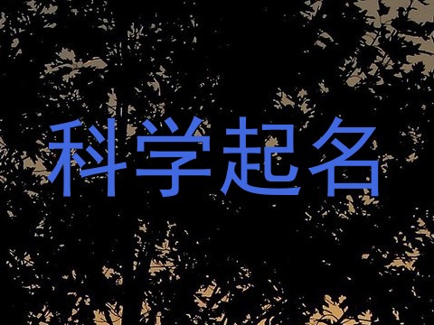 科学起名