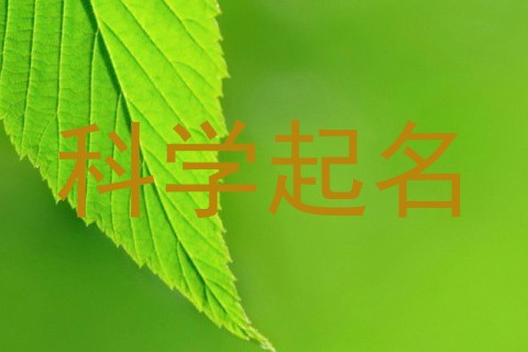 科学起名