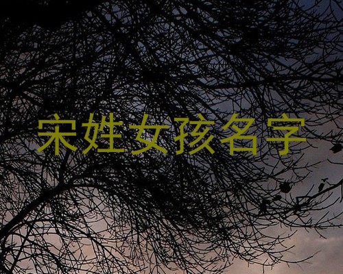 宋姓女孩名字