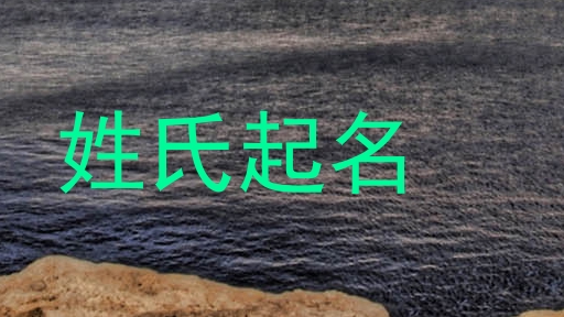姓氏起名