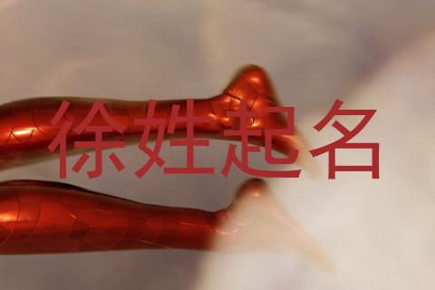 徐姓起名