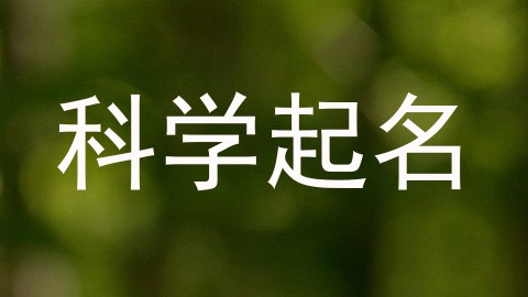 科学起名