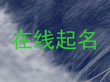 在线起名