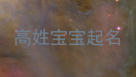 高姓宝宝起名