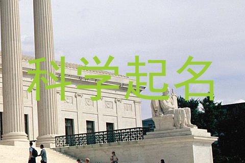 科学起名