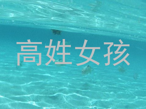 高姓女孩