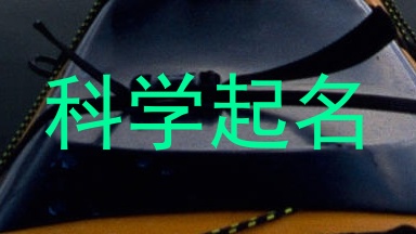 科学起名