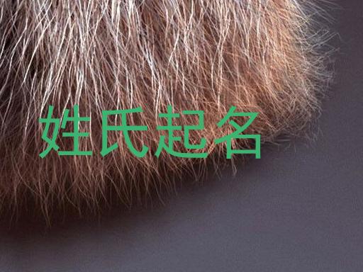 姓氏起名