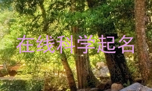 在线科学起名