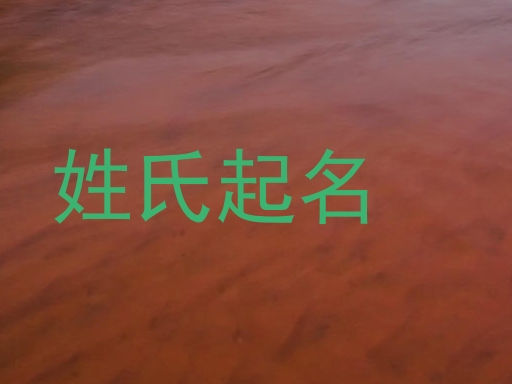 姓氏起名