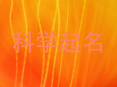 科学起名