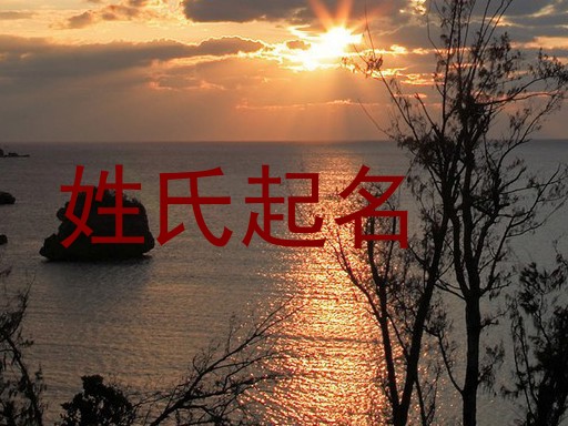 姓氏起名