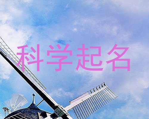 科学起名