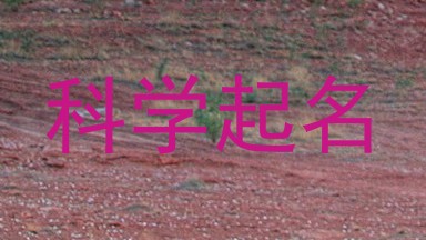 科学起名
