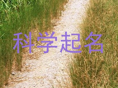 科学起名
