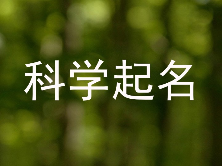 科学起名