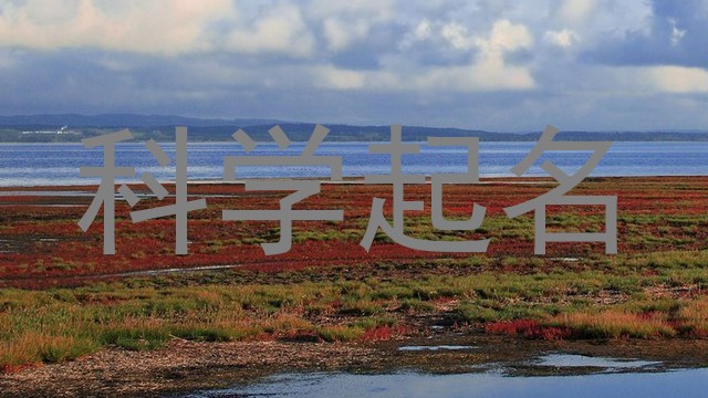 科学起名