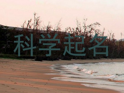 科学起名