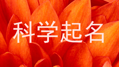 科学起名