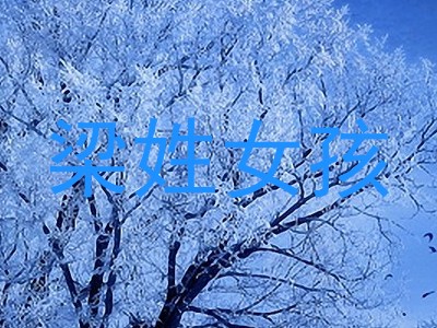 梁姓女孩