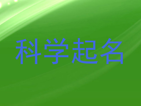 科学起名