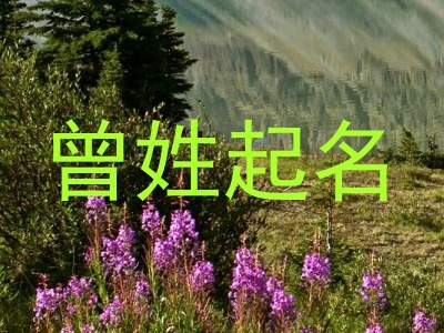 曾姓起名