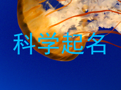 科学起名