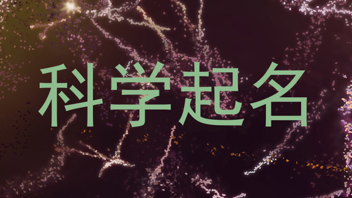 科学起名